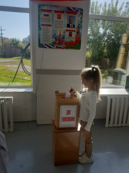 Все на выборы!.