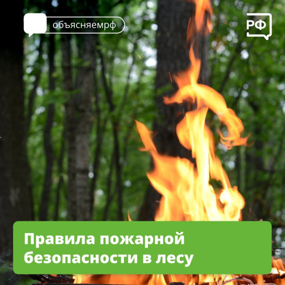 В крае введен режим повышенной готовности к паводкам и лесным пожарам.